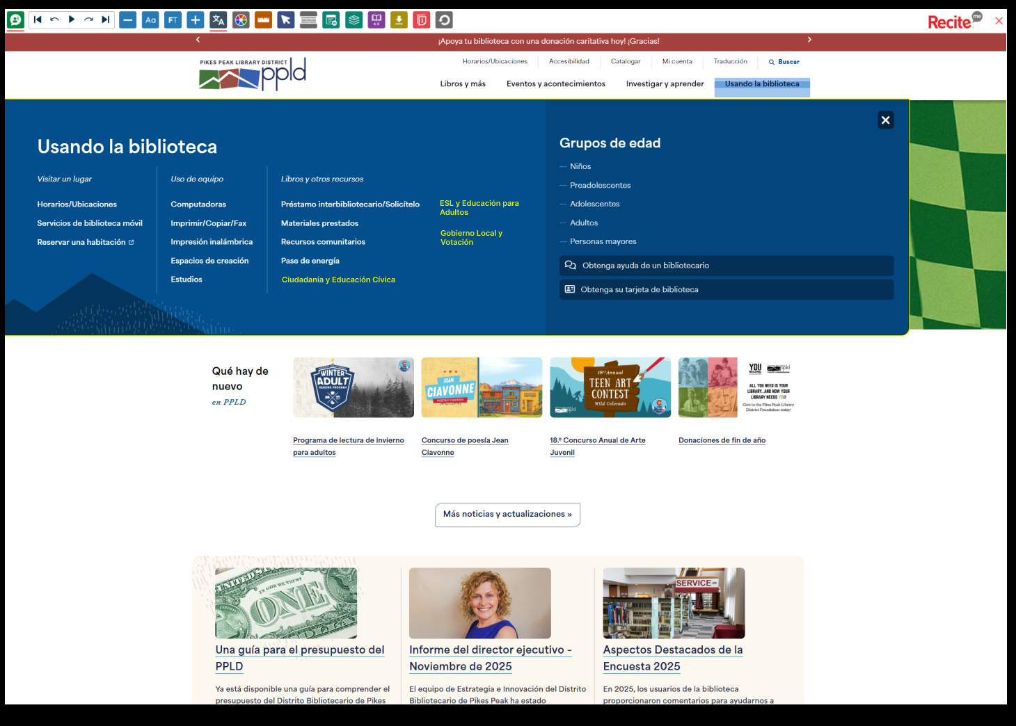 Problem and goals visuals for Pikes Peak Library District website redesign